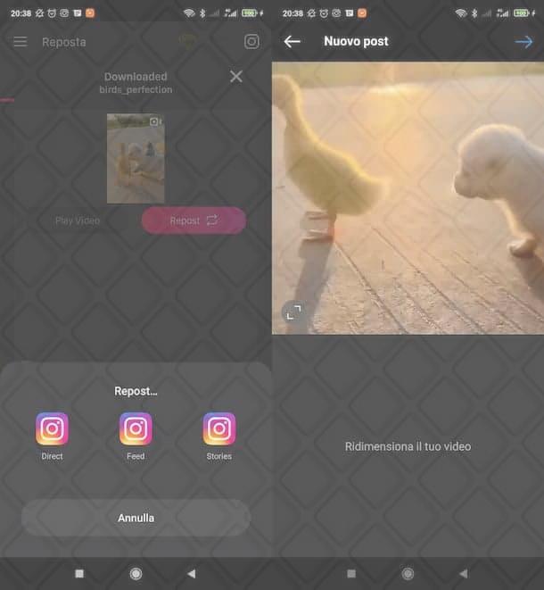 Come ripostare un video su Instagram