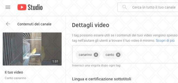 Inserire un tag su video YouTube