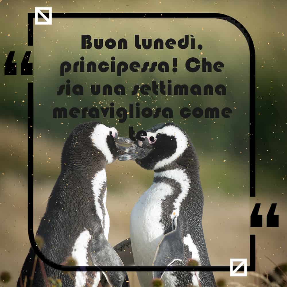 Lunedì Instagram