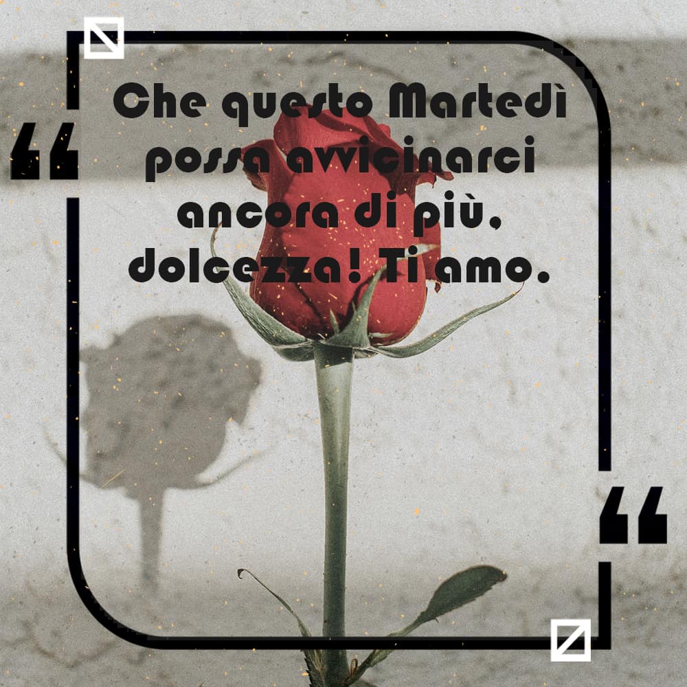 Martedì citazioni