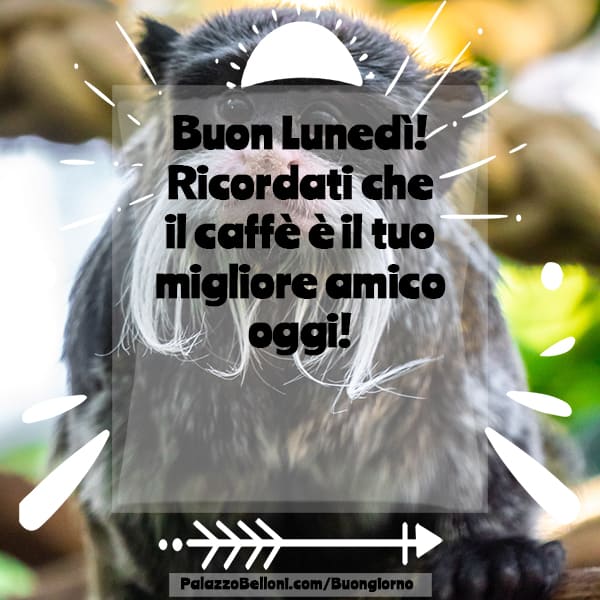 Lunedì amicizia